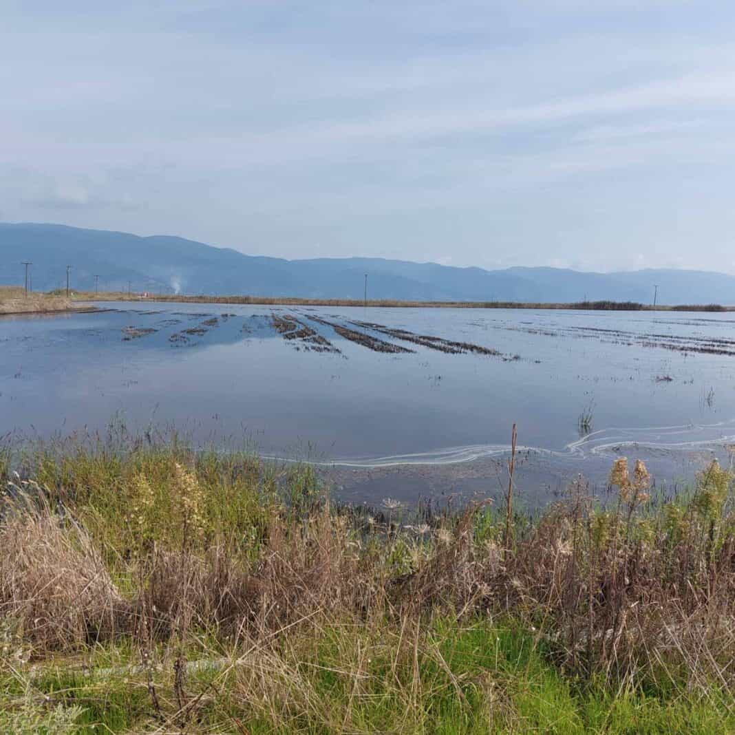 Αισιοδοξία επιστημόνων για τη γονιμότητα των εδαφών Καθηγητές του Γεωπονικού Πανεπιστημίου Αθηνών και Θεσσαλονίκης στη Θεσσαλία