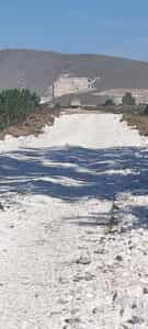 Συνεχίζεται με αμείωτους ρυθμούς, η προσπάθεια της Περιφέρειας Θεσσαλίας με όλα
τα διαθέσιμα μηχανήματα έργου για την αποκατάσταση της κυκλοφορίας σε όλο το
οδικό δίκτυο και τον καθαρισμό γεφυρών και ποταμών από φερτά υλικά. Τα
συνεργεία της Περιφέρειας επιχειρούν ταυτόχρονα σε δεκάδες σημεία σε όλη τη
Θεσσαλία προκειμένου να αποκατασταθεί η προσβασιμότητα των χωριών.
Σήμερα Δευτέρα, συνεργεία της Περιφέρειας Θεσσαλίας επιχείρησαν μεταξύ άλλων
για την αποκατάσταση του δρόμου στον Παλαμά και στα Καλυβάκια Καρδίτσας,
όπως επίσης και σε καθαρισμό του Πηνειού ποταμού, στο ύψος της Φαλάνης, στο
Κουλούρι και από Γυρτώνη ως τον Βρυότοπο.