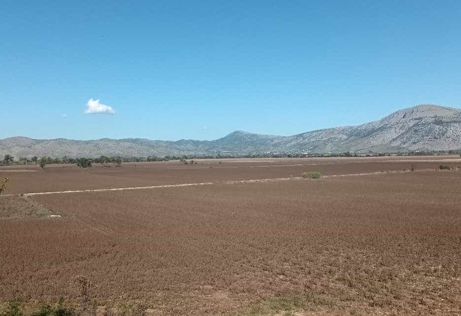 Η αναγέννηση του Θεσσαλικού κάμπου μετά τις πλημμύρες 