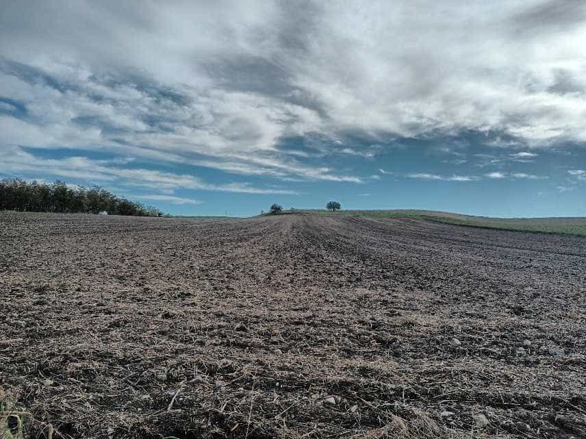 Η αναγέννηση του Θεσσαλικού κάμπου μετά τις πλημμύρες 