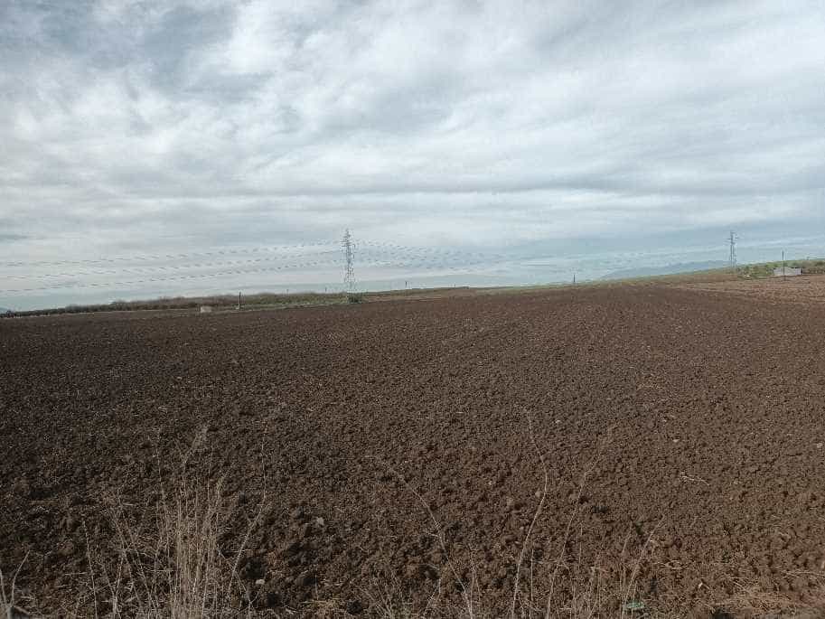 Η αναγέννηση του Θεσσαλικού κάμπου μετά τις πλημμύρες 