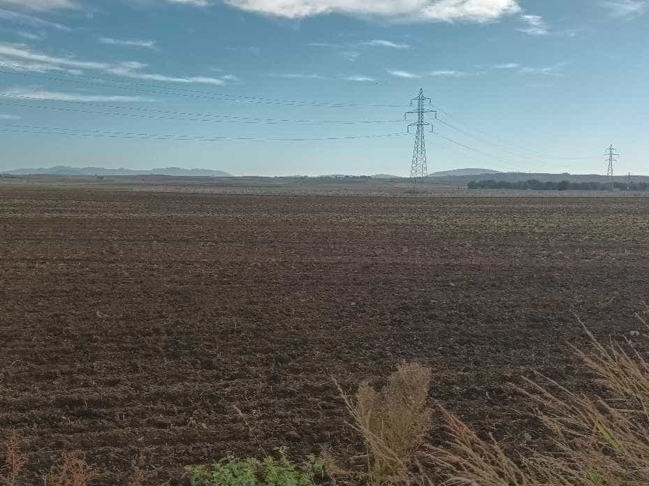 Η αναγέννηση του Θεσσαλικού κάμπου μετά τις πλημμύρες 