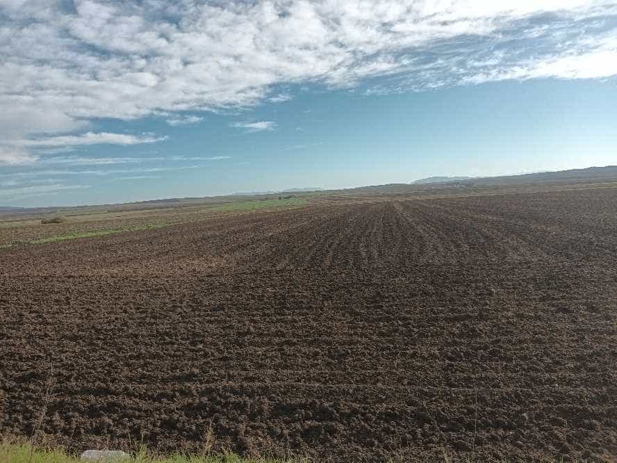 Η αναγέννηση του Θεσσαλικού κάμπου μετά τις πλημμύρες 