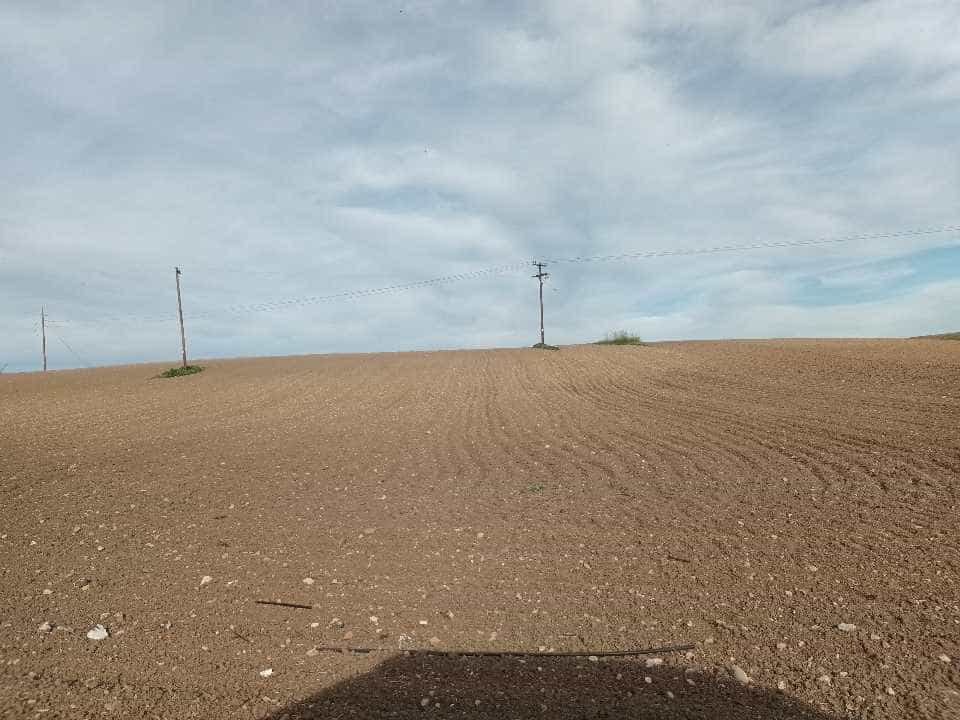 Η αναγέννηση του Θεσσαλικού κάμπου μετά τις πλημμύρες 