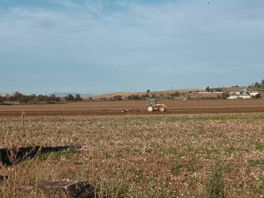 Η αναγέννηση του Θεσσαλικού κάμπου μετά τις πλημμύρες 
