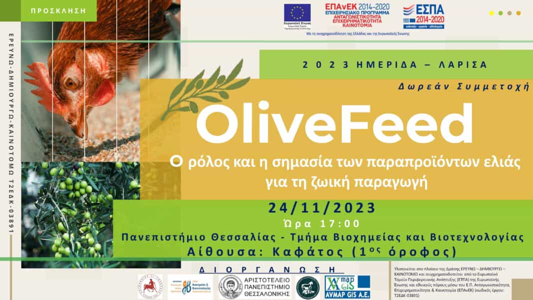 Hμερίδα έργου 