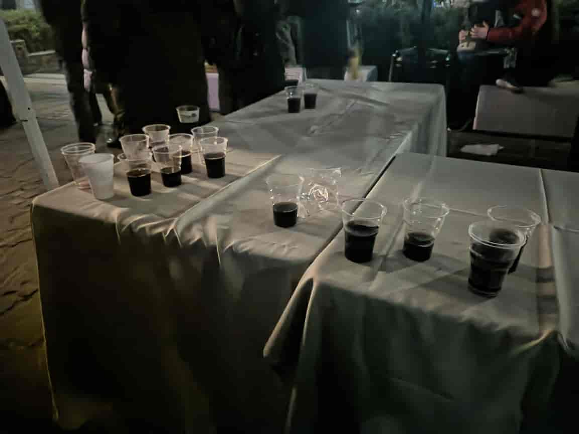 Με την Ελένη Τσαλιγοπούλου υποδέχτηκε τη νέα χρονιά η Λάρισα στο Φρούριο