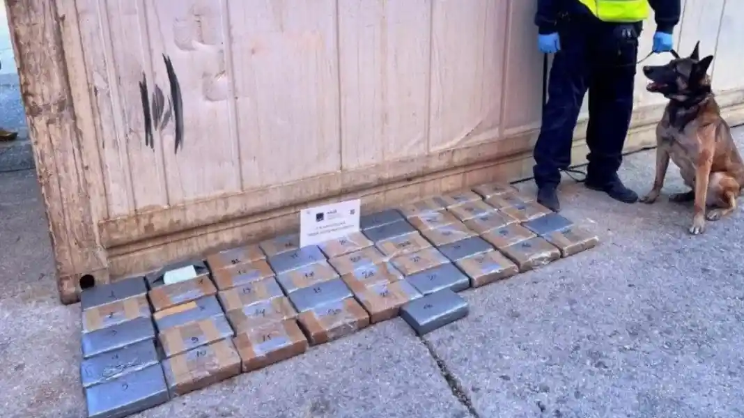 Βρήκαν κοκαΐνη αξίας 2,8 εκατ. ευρώ σε κοντέινερ με μπανάνες από το Εκουαδόρ