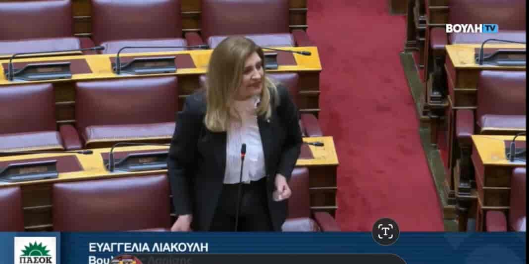 Ε. Λιακούλη:«Tίτλος χωρίς περιεχόμενο, το Πρότυπο Σχολείο Λάρισας!»
