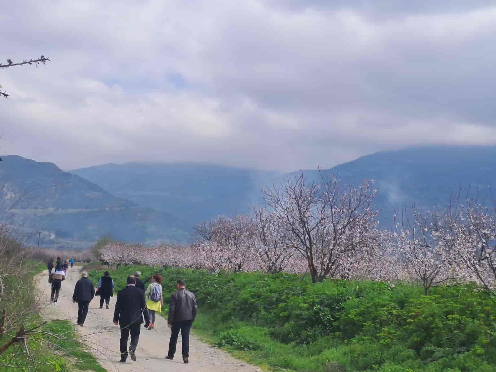Περπάτησαν «στους δρόμους αμυγδαλιάς» στο Συκούριο