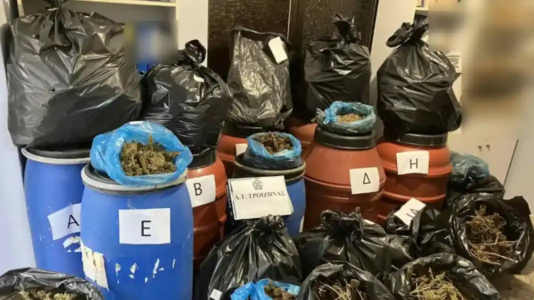 48 κιλά κάνναβης εντοπίστηκαν σε βαρέλια και σακούλες σε οικόπεδο στην Τροιζήνα