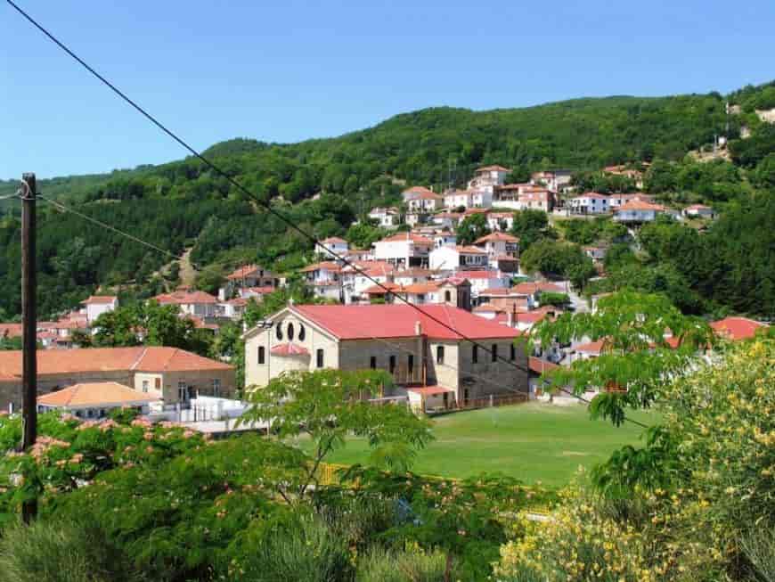 Βερδικούσα ή Βερδικούσια