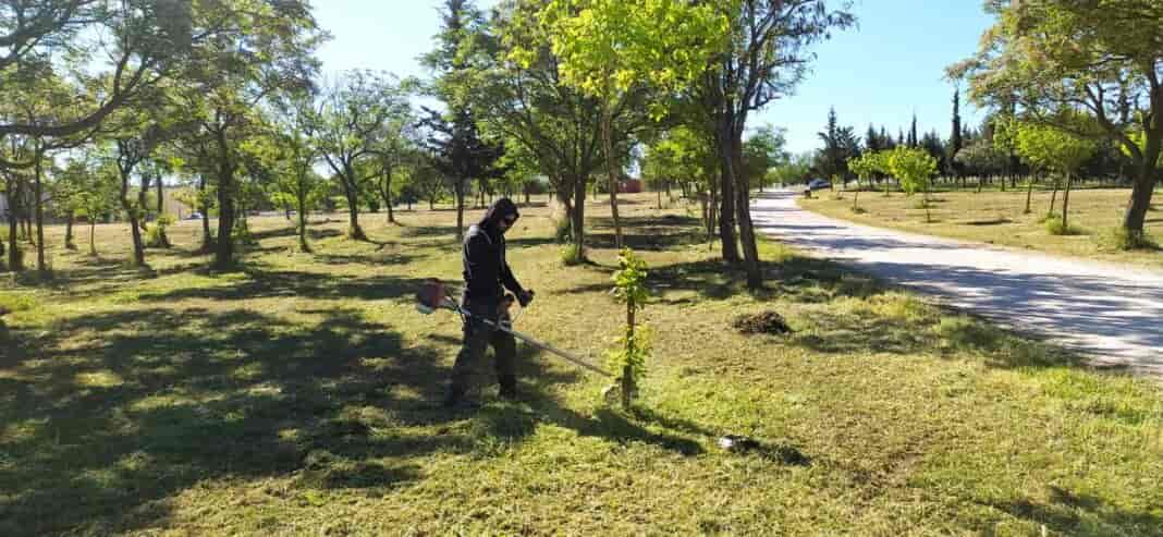 Μαμάκος για εργασίες αποψίλωσης και κοπής χόρτων σε κέντρο και συνοικίες: «Σε πλήρη εξέλιξη ο προγραμματισμός των υπηρεσιών, σύντομα τα αποτελέσματα»
