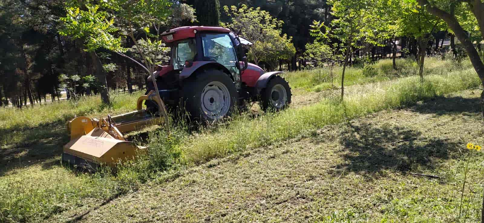 Με εντατικούς ρυθμούς οι εργασίες αποψίλωσης και κοπής χόρτων σε κέντρο και συνοικίες - «Σε πλήρη εξέλιξη ο προγραμματισμός των υπηρεσιών, σύντομα τα αποτελέσματα», σημειώνει ο Δήμαρχος Λαρισαίων, κ.Θανάσης Μαμάκος