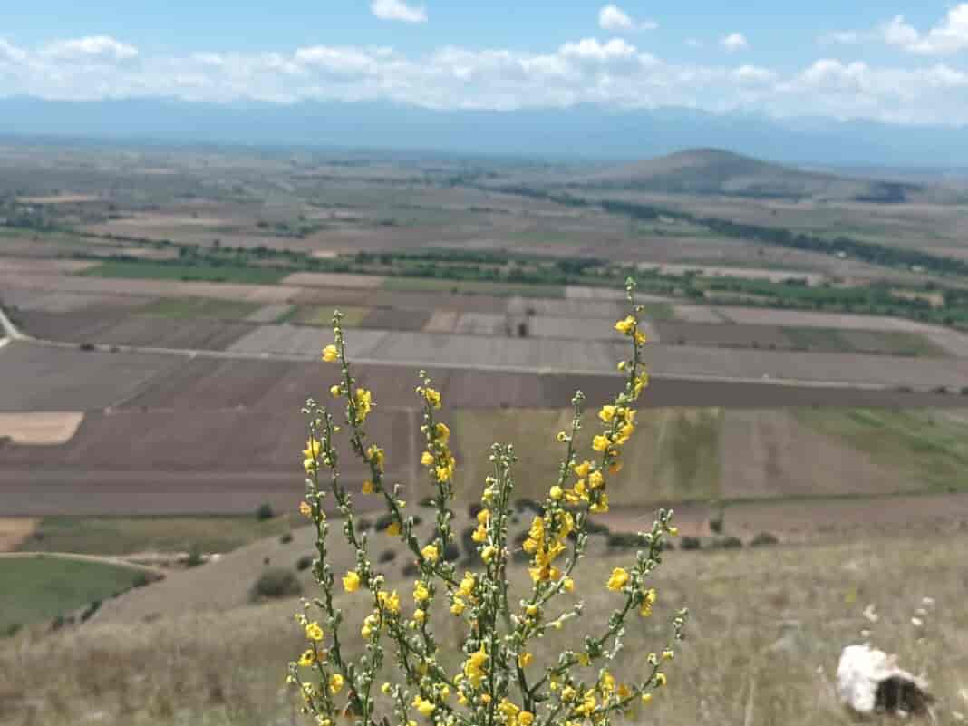 καιροσ στη Θεσσαλία