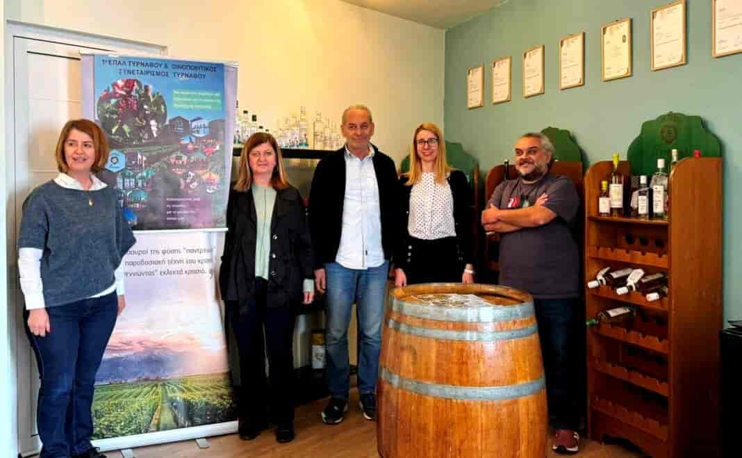 ΕΠΑΛ-Τυρν κ Οινοπ Συνεταιρισμός Φ-13