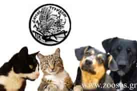 Ανακοίνωση της Δημοτικής Αρχής Τυρνάβου για τη θανάτωση αδέσποτων ζωών