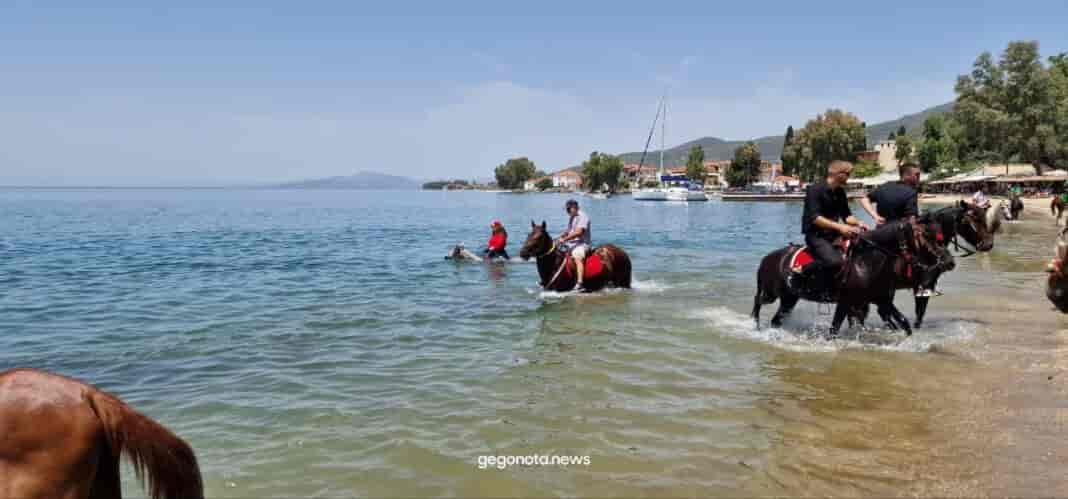 Αγιασμός των αλόγων