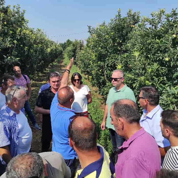 Στα χαλαζόπληκτα της Αγιάς κλιμάκιο της Περιφέρειας και του ΕΛΓΑ