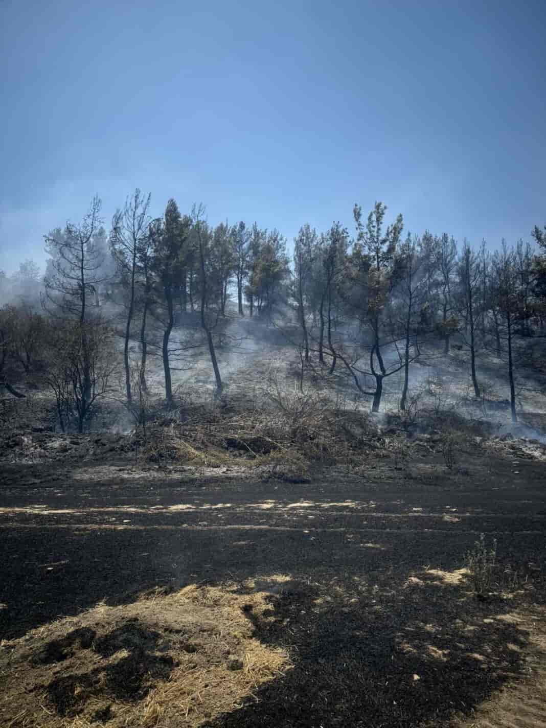 IMG-dfd77c6e27432cf3bcb60e69664a376c-V Δύο φωτιές ξέσπασαν σήμερα στην περιοχή του Τυρνάβου