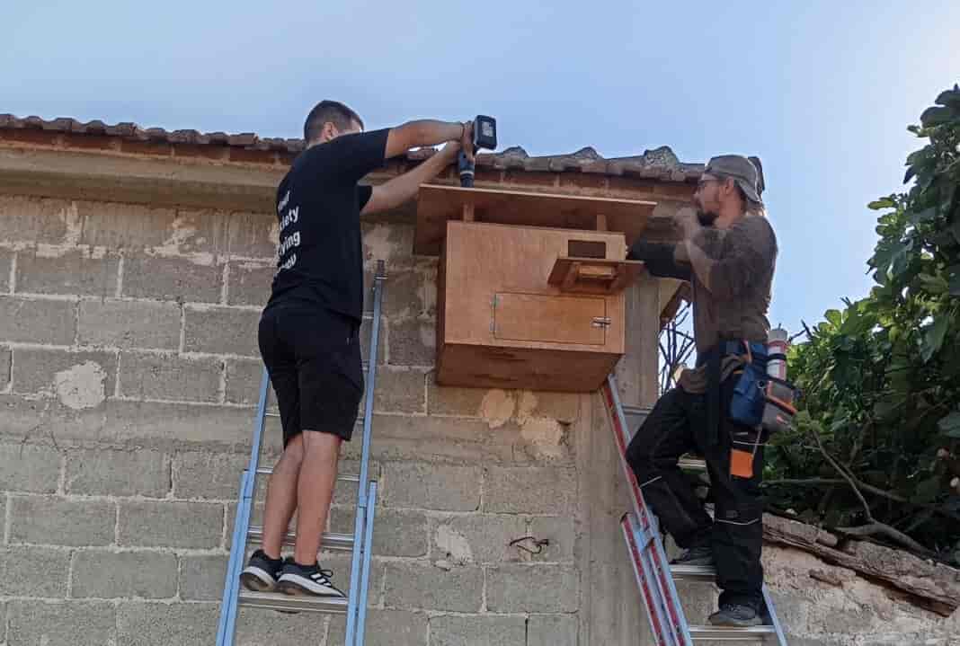 Πρόγραμμα «Τυτώ»: Τοποθετήθηκαν 30 νέοι κλωβοί σε 15 οικισμούς του Δήμου Λαρισαίων