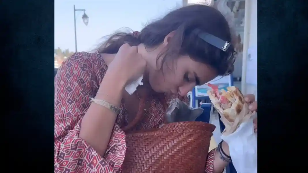 Το γατάκι που σώθηκε, πάει... Αμερική