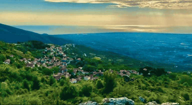 Καλλιπεύκη Ολύμπου