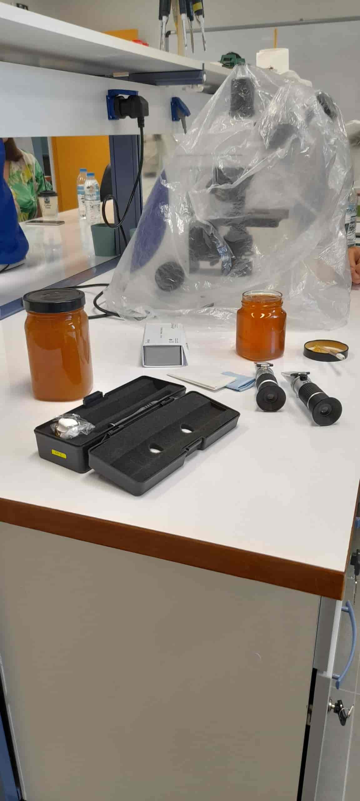 Δήμος Ελασσόνας: Επιτυχημένο για 2η χρονιά το πρόγραμμα Διά Βίου Μάθησης για την Αγροδιατροφική Κληρονομιά και Επιχειρηματικότητα