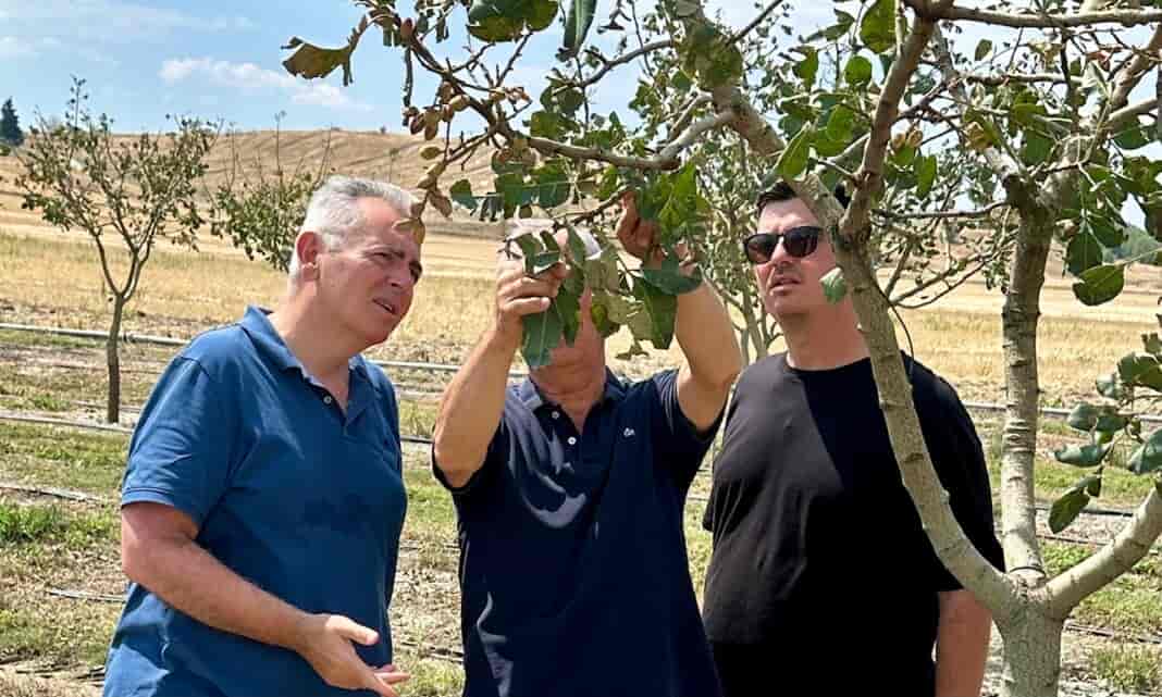 2 Μ. Χαρακόπουλος στα χαλαζόπληκτα: Άμεσες εκτιμήσεις στις σοβαρές ζημιές που προκάλεσε το μπουρίνι