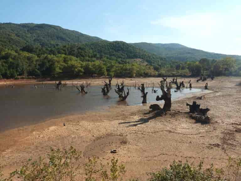 Αγιά Λάρισας: Η λειψυδρία "χτύπησε" και την λίμνη της Σκήτης με την απρόσμενη ομορφιά