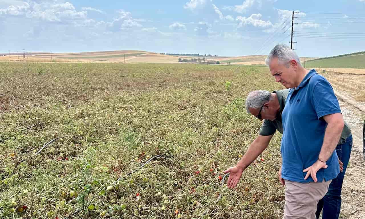 Μ. Χαρακόπουλος στα χαλαζόπληκτα: Άμεσες εκτιμήσεις στις σοβαρές ζημιές που προκάλεσε το μπουρίνι 