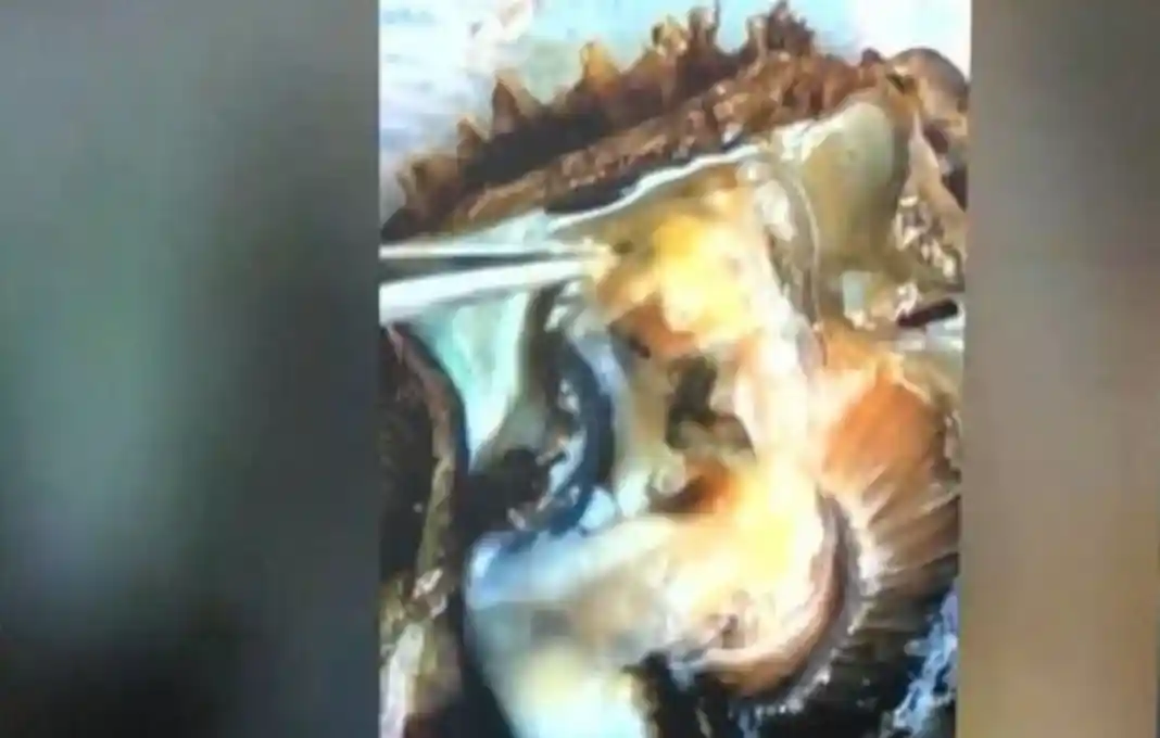 Φυσικά μαργαριτάρια