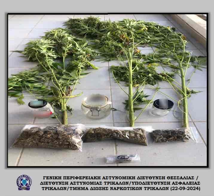Μια σύλληψη στα Τρίκαλα για ναρκωτικά