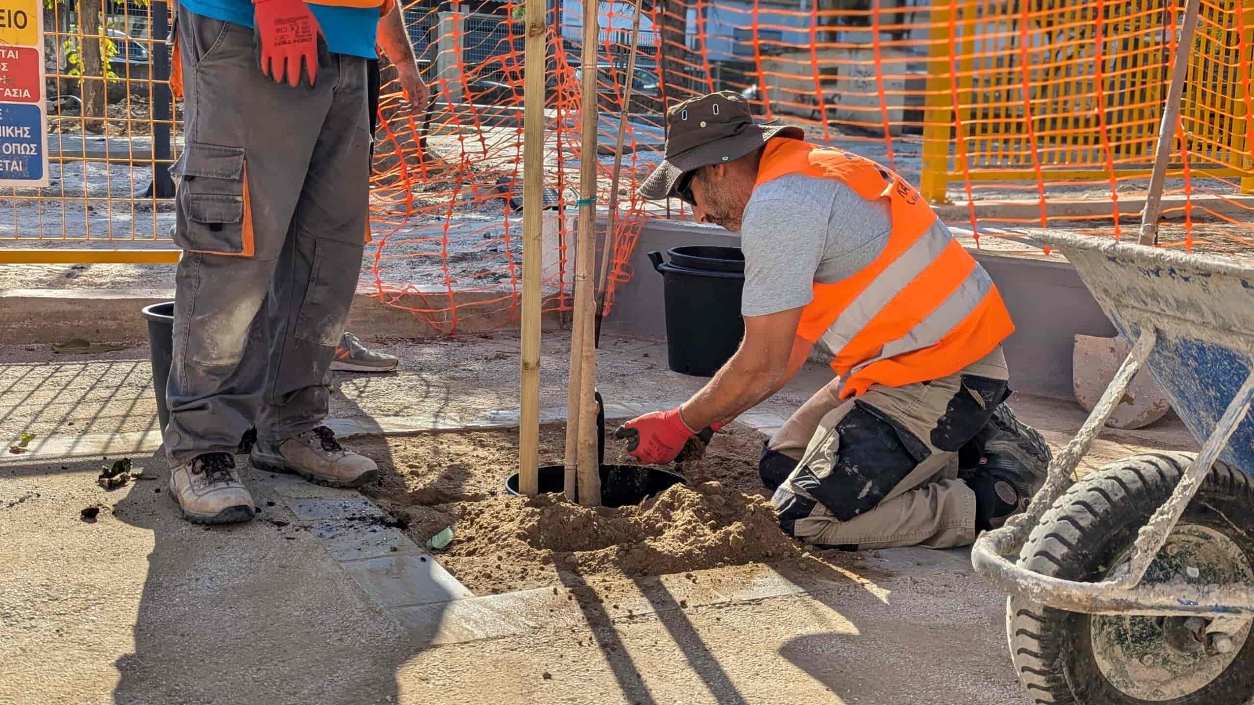 «Ανάσα» πρασίνου στη Λάρισα – 1.500 δέντρα φυτεύει ο Δήμος Λαρισαίων