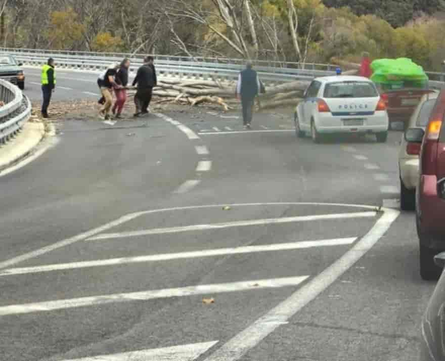 Δέντρο κατέρρευσε πάνω στην γέφυρα των Τεμπών