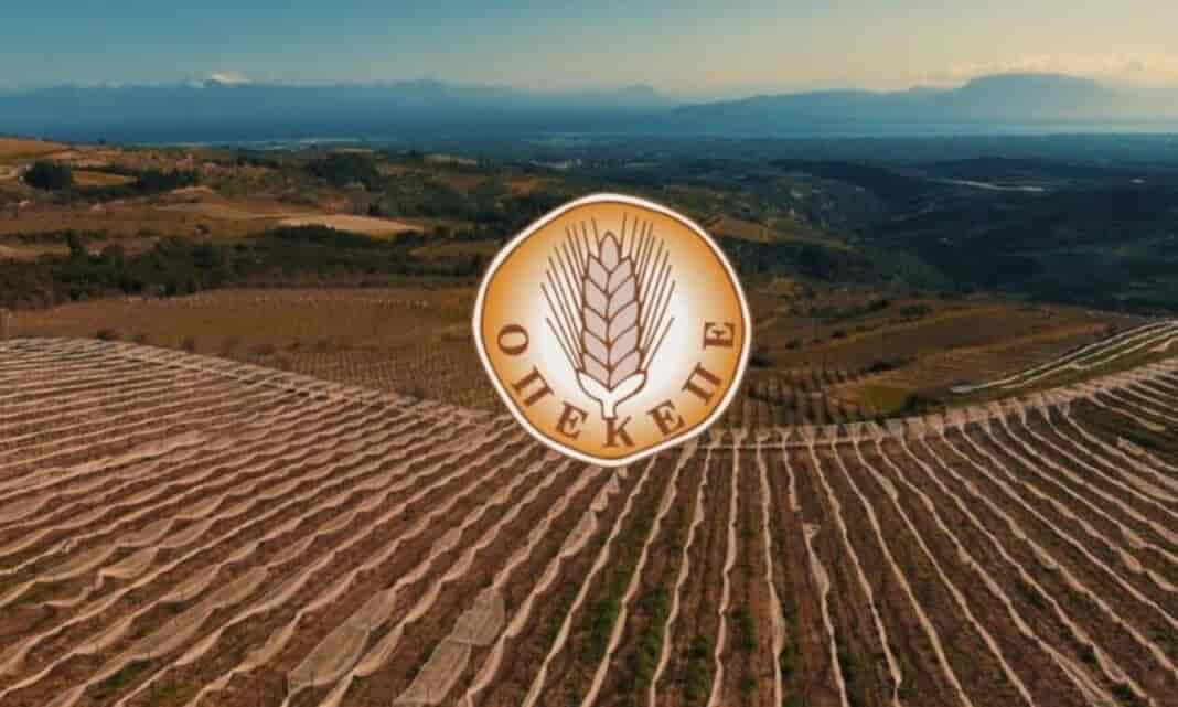 ΟΠΕΚΕΠΕ: Πλήρωσε 2,8 εκατ. για εκκρεμότητες του 2015