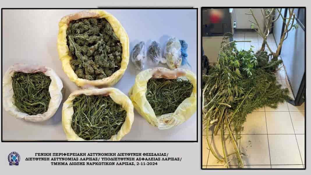 Συνελήφθη ημεδαπός άνδρας σε περιοχή του Δήμου Ελασσόνας Λάρισας, για παράβαση της νομοθεσίας περί ναρκωτικών