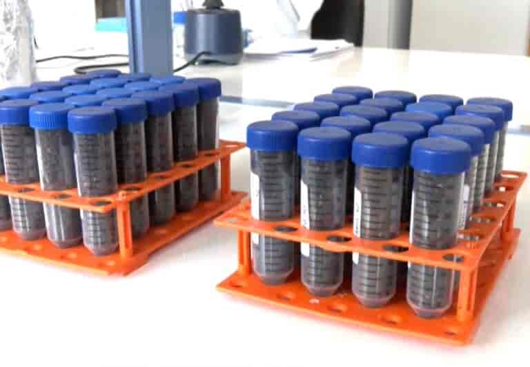 Λάρισα: Ζωοτροφή παράγεται από παραπροϊόντα ελαιοτριβείων