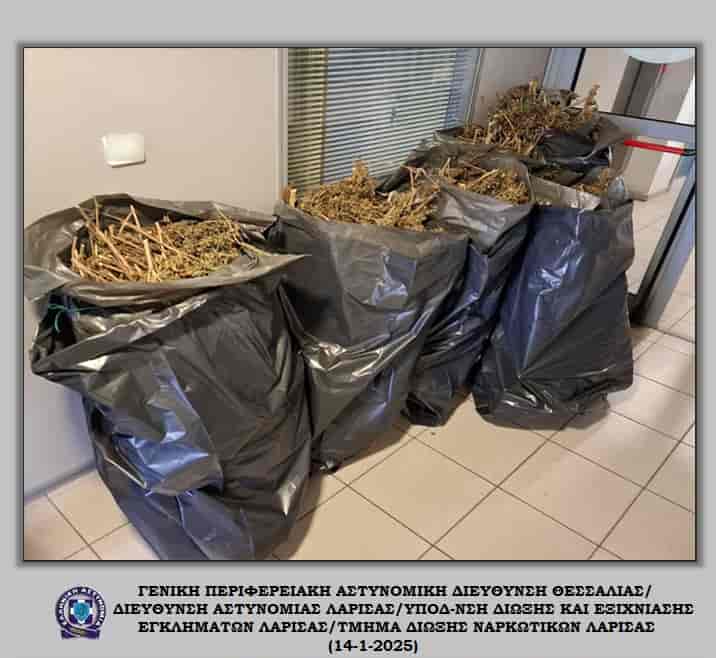 Συνελήφθη στον Τύρναβο με 37 κιλά αποξηραμένης κάνναβης