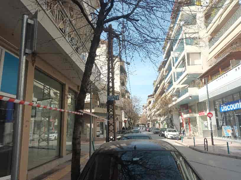 Δήμος Λαρισαίων: Εργασίες κλαδέματος και πλύσης οδοστρώματος σήμερα, Κυριακή - Εφιστάται η προσοχή κατοίκων και οδηγών