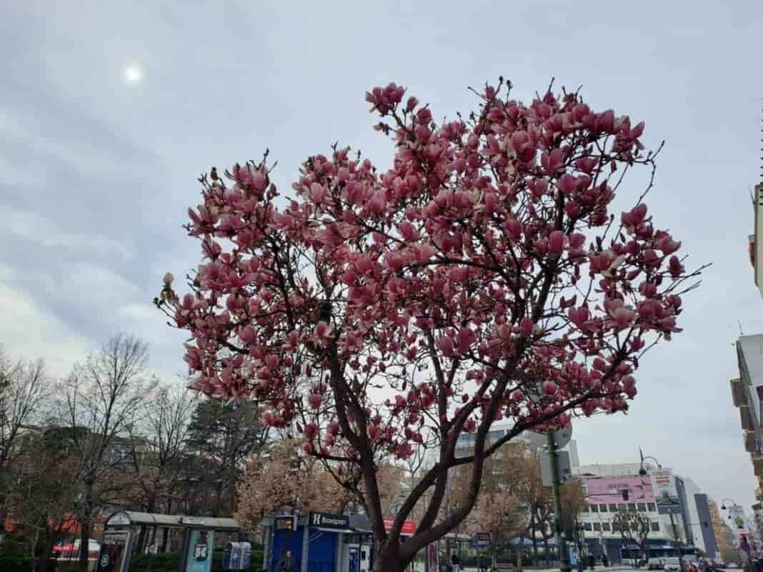 Messenger_creation_F096C4EA-5A34-4DC7-B26F-E8A4C10DDB27