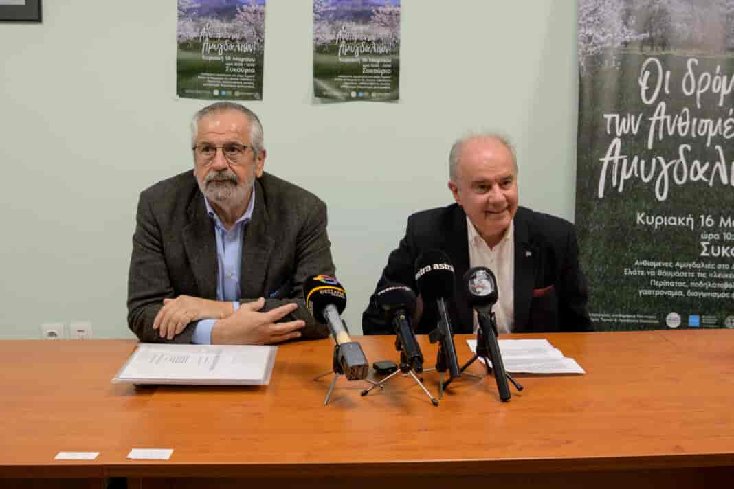 Περιφέρεια Θεσσαλίας και Δήμος Τεμπών προβάλουν τους δρόμους των ανθισμένων αμυγδαλιών