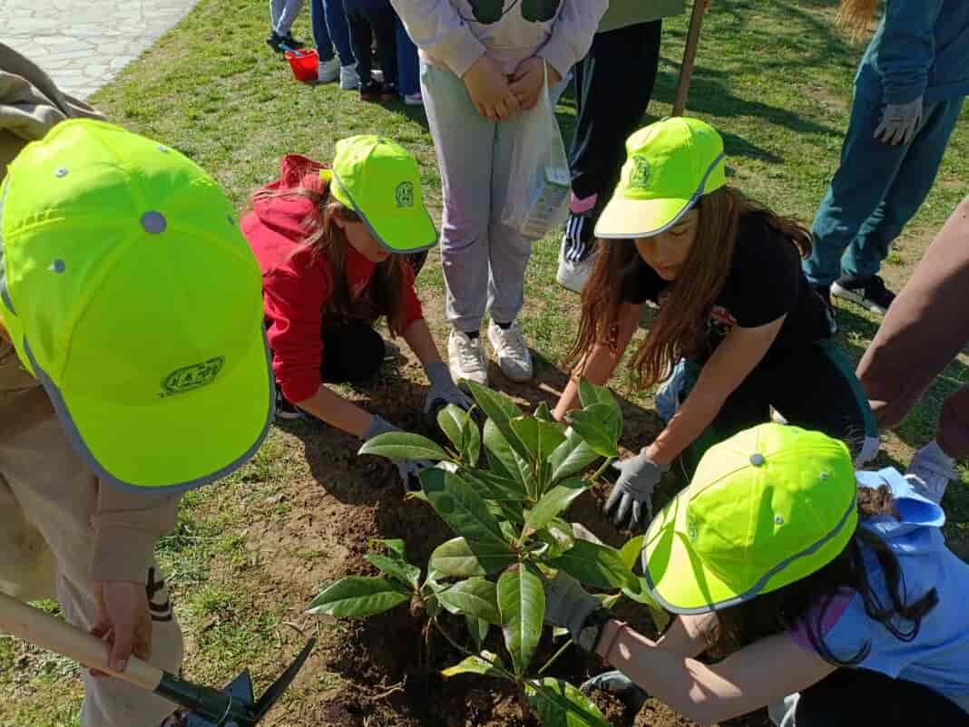 Περιβαλλοντική Δράση Δεντροφύτευσης μαθητών του Δημοτικού Σχολείου Γόννων