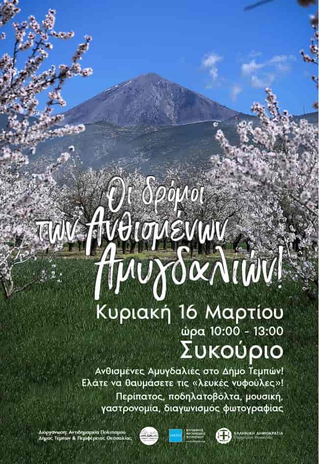 Υποδεχόμαστε την Άνοιξη με τους "Δρόμους των Ανθισμένων Αμυγδαλιών" στο Συκούριο