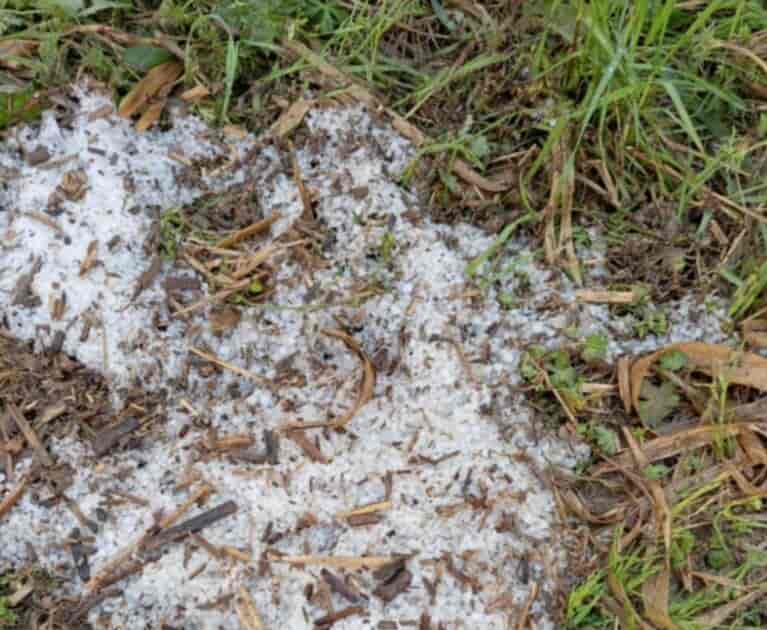 Χαλάζι χτύπησε δενδροκαλλιέργειες σε περιοχές του Τυρνάβου