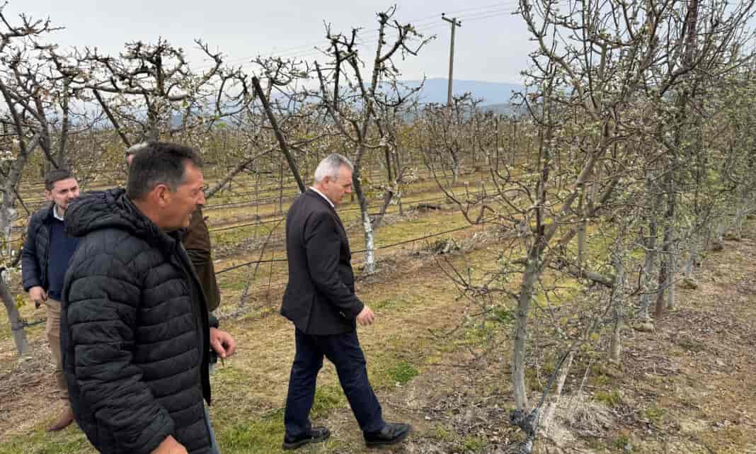 Μ. Χαρακόπουλος στην Αγιά: Επιβεβλημένες οι προκαταβολές αποζημιώσεων στις παγετόπληκτες καλλιέργειες