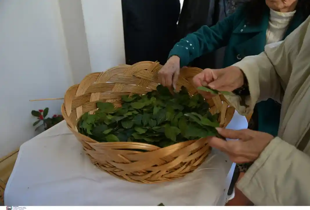 Κυριακή των Βαΐων