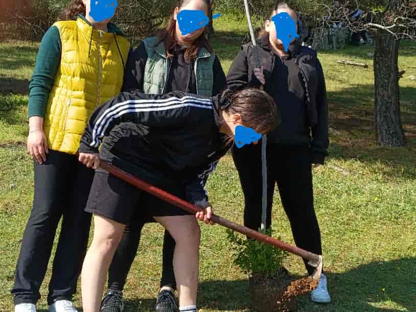 Περιβαλλοντική Δράση Δεντροφύτευσης από τους Μαθητές του Δημοτικού
Σχολείου Μακρυχωρίου και Γυμνασίου - Λυκειακών Τάξεων Μακρυχωρίου