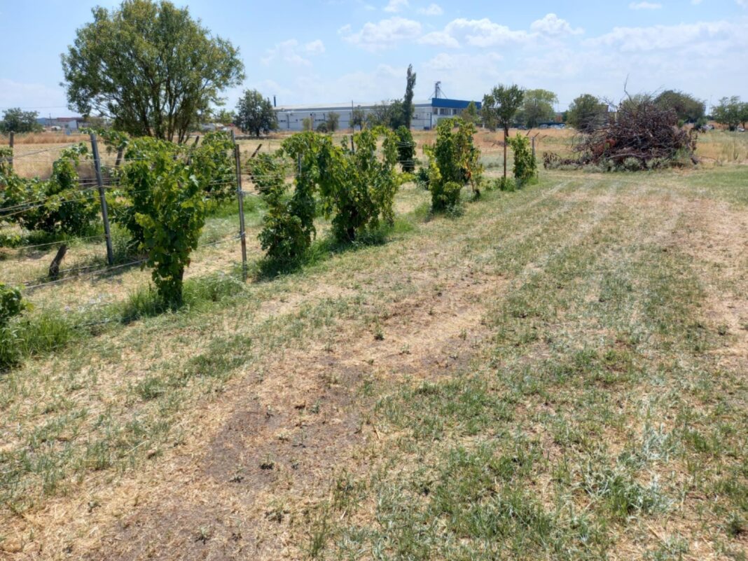 Akatharista oikopeda 4-A429-AA1A1234BEF1 Καθαρισμοί οικοπέδων