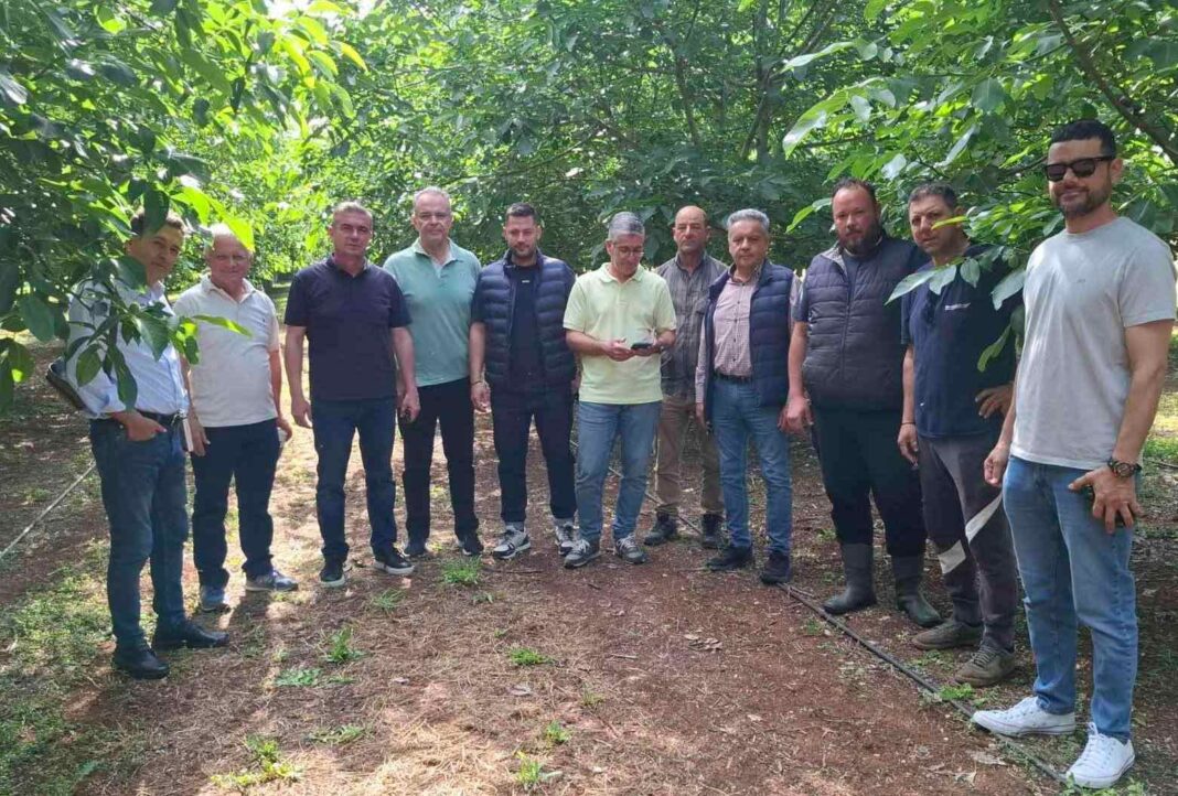 Αυτοψία για την καρπόπτωση στο Δήμο Τυρνάβου